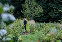 <p>Peter Ochsner hat sich mit seinem idyllisch gelegenen Sortengarten oberhalb von Heiden seinen Traum verwirklicht. Auf rund&nbsp;1500 Quadratmetern…</p>