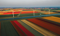 <p>Keine andere Blume ist so sehr mit den Niederlanden verknüpft wie die Tulpe. Daher wird seit 2012 der nationale Tulpentag gefeiert. Dieser gilt als…</p>