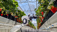 <p>Mitte Juni diese Jahres fand mit der GreenTech in Amsterdam endlich wieder eine der weltweit bedeutendsten Fachmessen rund um die Gartenbautechnik…</p>