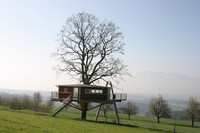 Baumhaus mit Alpenkulisse