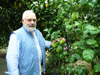 <p>Mit seinen über 200 Zitrussorten zählt der Zitrusgarten des passionierten Pflanzenzüchters Oscar Tintori in Pescia (I) zu den einzig-artigsten…</p>