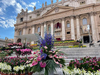 <p>Seit 1985 wird der Petersplatz im Vatikan zu Ostern mit allerlei Blumenarrangements von niederländischen Floristen geschmückt, um der Heiligen Messe,…</p>