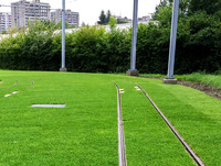 Die grüne Wende <p>Grau war gestern: Heute sind einige Gleisabschnitte oder Wendeschleifen in Schweizer Tramnetzen begrünt. Der Unterhalt dieser Flächen kann jedoch…</p>