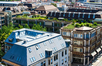 <p>Eine über 30 Jahre alte Dachbegrünung wurde zweimal zum Gründach des Jahres gewählt. Ende Januar wählten die Teilnehmer der…</p>