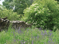 <p>Tausende haben letzte Woche im ganzen Land während einer Stunde die Vögel im Garten oder in der Siedlung gezählt.&nbsp;Total gingen laut Medienmitteilung…</p>