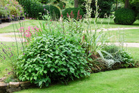 <p>Inselartig angeordnete Staudenbeete in Rasenflächen oder Vorgärten beleben einen Gartenraum, unter­streichen seine Tiefenwirkung und erzeugen die…</p>