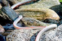 <p>Für den Wassertransport im Outdoorbereich findet man hauptsächlich PVC- und Gummischläuche. Vom Aussehen erscheinen sie im ersten Augenblick alle…</p>