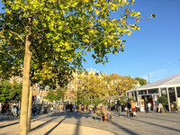<p>Schätzungsweise 15 der 56 Bäume auf dem Sechseläutenplatz sind nicht mehr zu retten und müssen gefällt und ersetzt werden. Es gibt vermutlich nicht…</p>