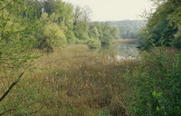 <p>Der Kanton Aargau war Gastkanton an der Natur Messe in Basel. Als einziger Kanton setzt er mit dem Auenschutzpark die Verordnung des Bundes um. Rund…</p>