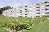 «Private Lifestyle», aber kein Geld für öffentliche Grünflächen <p>Die Gartenamtsleiterkonferenz (GALK) ist in Deutschland die Anlaufstelle für Stadtgärtnereien und Gartenbauämter. An der Jahrestagung, die diesen Mai…</p>