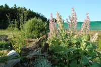 <p>Das Netzwerk Bodenseegärten veranstaltet am Wochenende vom 10. bis 12. Juni 2022 die achte «Lange Nacht». Dank des Erfolgs der letzten Jahre hat sich…</p>