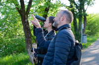 <p>Die Aktion «Stunde der Gartenvögel» von BirdLife Schweiz lockte vom 8. bis 12. Mai wieder Interessierte zum Feldstecher, um Vögel im Siedlungsraum zu…</p>