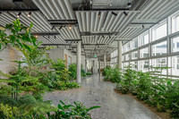 <p>Innovative Innenraumbegrünung steht im Mittelpunkt der EILO Best Project Competition 2025. Dieses Jahr wurden gleich zwei Schweizer Firmen jeweils mit…</p>