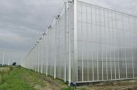 <p>Deutschlands grösstes Gewächshaus für Biogemüse ist kürzlich im schleswig-holsteinischen Wöhrden an den Start gegangen. Auf vier Hektaren unter Glas…</p>