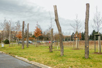 Urbaner Wald – ein Experiment in Leipzig <p>Weltweit leben immer mehr Menschen in urbanen Räumen. Gleichzeitig steigen die Ansprüche der städtischen Menschen an ihren Lebensraum. Parkanlagen und…</p>