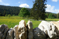 <p>Die Stiftung Landschaftsschutz Schweiz setzt sich für den Erhalt des Kulturlandes ein und hat im Jahr 2025 878 000 Franken für Landschaftsprojekte in…</p>