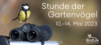 <p>Auch dieses Jahr rief BirdLife Schweiz zur nationalen Vogelzählung auf. Die «Stunde der Gartenvögel» soll ein breites Publikum für die Vielfalt der…</p>
