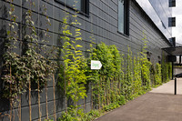 <p>Das «Förderprogramm Stadtgrün» der Stadt Zürich richtet sich an Private, die ihre Liegenschaften ökologisch aufwerten möchten. Es kombiniert die…</p>