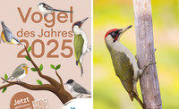 <p>BirdLife Schweiz ruft die Bevölkerung auf, erstmals den «Vogel des Jahres» zu wählen. Diese Wahl findet anlässlich des 25-Jahre-Jubiläums dieser…</p>