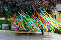 <p>Im Rahmen des Gartenjahres 2016 hat die Abteilung Landschaftsarchitektur an der HSR Rapperswil in Zusammenarbeit mit der Stadt das Projekt «Temporäre…</p>