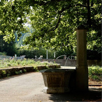 <p>Begrünte Wände, einheimische Wildpflanzen und die Entsiegelung von zubetonierten Flächen – es gibt zahlreiche Möglichkeiten, die Biodiversität im…</p>