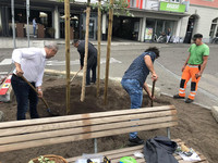 Aktion «Klimaoase» – Baumschenkstaffette für eine klimapositive Wirkung <p>Die vom Naturama Aargau geleitete «Aktion Klimaoase» animiert Aargauer Gemeinden, Bäume im Siedlungsgebiet zu pflanzen.</p>