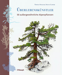 <p>Stürmische Winde, starke Sonneneinstrahlung, dicke Schneedecken, Wassermangel, extreme Temperaturschwankungen – Pflanzen müssen in den Bergen viel…</p>