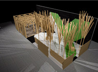 <p>Der von den Studierenden des Bildungsgangs für Gartenbautechniker HF der Gewerblichen Berufsschule Wetzikon entworfene Messestand steht ganz im…</p>