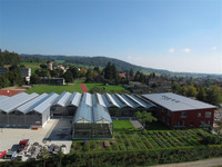 <p>Im August will der Lehrverbund Gärtner JardinSuisse Zürich mit den ersten Lernenden starten. Neue Betriebe und Bereiche sollen für die Ausbildung…</p>