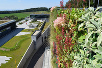 <p>Die Gebäudebegrünung erlebt in Deutschland einen beispiellosen Aufschwung, wie dies aus dem «BuGG-Marktreport Gebäudegrün 2023» des Bundesverbands…</p>