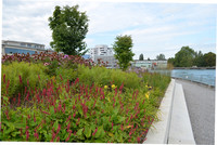 Blütenreiches Stadtgrün in Thun <p>Mit 44 000 Einwohnerinnen und Einwohnern belegt Thun in der Liste der grössten Städte Platz elf. Die nach Biel drittgrösste Stadt des Kantons Bern…</p>