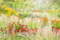 <p>Die Gewinnerinnen und Gewinner des 13. Internationalen Gartenfotografie-Wettbewerbs 2020 (International Garden Photographer of the Year, IGPOTY)…</p>