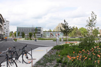 Dynamische Vegetationsbilder im Selve-Park <p>Eine ausgedehnte Staudenlandschaft prägt den Selve-Park in Thun, der 2013 auf einem ehemaligen Industrieareal angelegt wurde. Das auf Pflanzplanungen…</p>