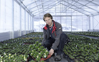 <p>Viele Produktionsbetriebe setzen aus ökologischen Gründen auf torfreduzierte Substrate. Zu ihnen zählt das Unternehmen Schutz in Filisur, das sich auf…</p>
