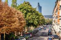 Strassenbäume wirken Depressionen entgegen <p>Strassenbäume im direkten Lebensumfeld könnten das Risiko für Depressionen in der Stadtbevölkerung reduzieren. Das ist das Ergebnis einer neuen Studie…</p>
