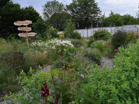 <p>Über 140 Biogärtnereien und Naturgartenbaubetriebe in der Schweiz sind der Organisation für den Bio- und Naturgarten «Bioterra» angeschlossen und…</p>