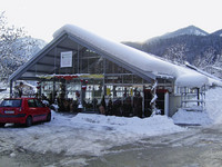 Wie taut Schnee auf Gewächshäuse