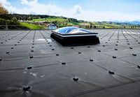 <p>In dieser Serie werden Themen behandelt, die zum gärtnerischen Handwerk gehören, jedoch kaum im gärtnerischen Alltag zur Routine werden,…</p>