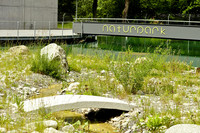 <p>Im Verlauf der letzten zehn Jahre wurde die Aussenanlage der Ara Region Bern AG, Herrenschwanden, umfassend saniert und umgestaltet. Heute ist der…</p>