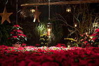 Ein Dankeschön für die