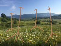 <p>Der Rückgang von Arten und Lebensräumen in der Schweiz ist alarmierend. Dennoch fliessen weiterhin öffentliche Gelder, die die Biodiversität…</p>