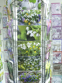 <p>Trends zu erkennen, ist an der Ornaris stets ein schwieriges Unterfangen. Dergartenbau hat für Sie die Kartensortimente genauer betrachtet und sich…</p>