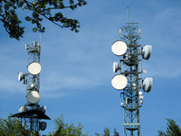 Bäume im Visier von Mobilfunkantennen <p>Die Strahlung von Mobilfunkantennen ist nicht nur für Menschen und Tiere schädlich, sondern auch für Pflanzen. Dies haben verschiedene Untersuchungen…</p>