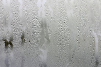 <p>Die Tage sind kurz, die Nächte kalt – es ist Winter. Eine der hartnäckigsten und gefürchtesten Krankheiten an Kulturpflanzen, die Grau- schimmelfäule…</p>