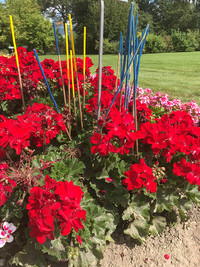 <p>Erfolgreich gingen letzte Woche die Wyss Gartentage 2021 über die Bühne.</p>