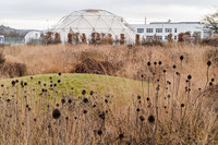 <p>Wenn man über Design im Garten spricht, werden die Hauptakteure im Garten, die Pflanzen, oft übersehen.&nbsp;Der Fokus liegt meist auf «harten» Bauten und…</p>