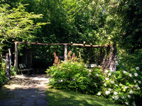 Gustav-Ammann-Park in Zürich