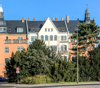 Eiben (Taxus baccata) und