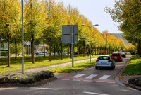 <p>Wo auch immer nach einer städtebaulich schönen Gestaltung von Ortseinfahrten gesucht wird, werden sich grüngestalterische Lösungen als beste Wahl…</p>