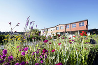 <p>Am 9. September 2019 hat an der ZHAW in Wädenswil die Einführungswoche für Bachelorstudierende begonnen.&nbsp;Am meisten Teilnehmende verzeichnet der…</p>